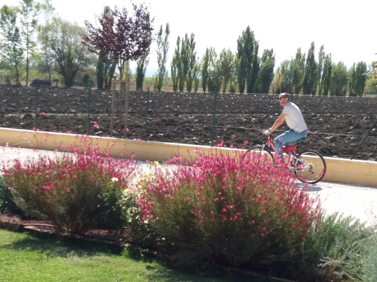 Il Podere Di Francesco Apartment *
